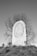A large stone monument with intricate carvings and inscriptions stands prominently in an outdoor setting. The background features bare trees under a clear sky, suggesting a serene, possibly winter atmosphere. The carvings seem to have historical or cultural significance.