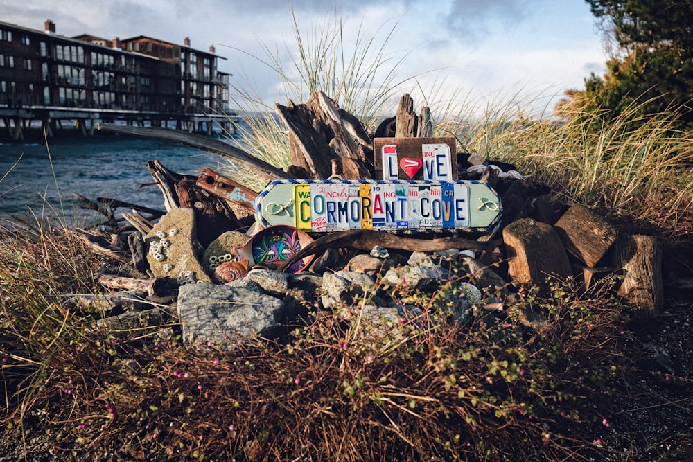 license plate lot on rock near body of water