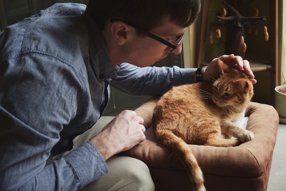 man grabbing cat's head