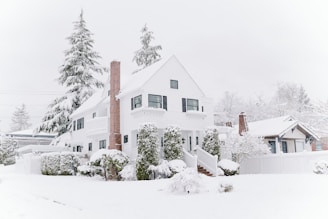 houses covered with snow during daytime