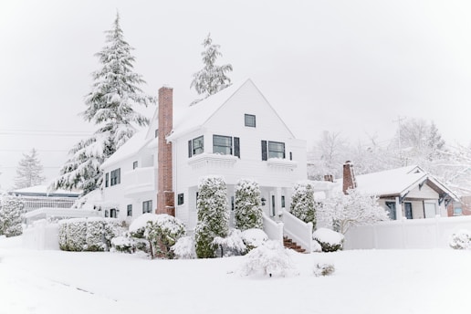 houses covered with snow during daytime