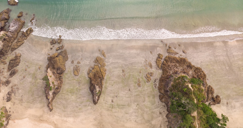 aerial photo of beach during daytime