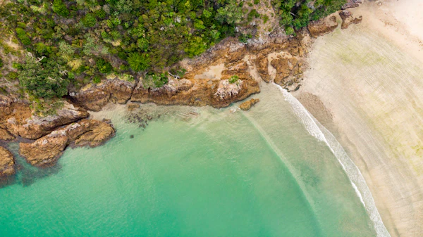 Aerial view of Waiheke Island coastline