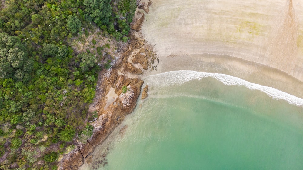 aerial view of beach