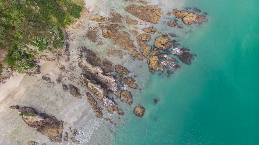 beach aerial blue