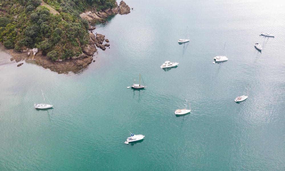 10 yachts moored near island