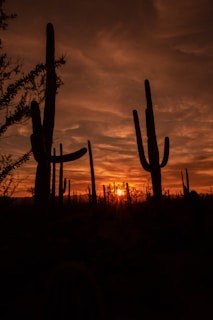 Sunset casting warm hues over the rugged desert landscape of Real de Catorce.
