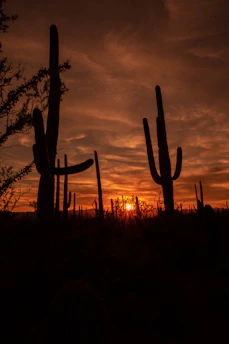 A warm sunset over Yuma, Arizona, symbolizing hope and renewal.