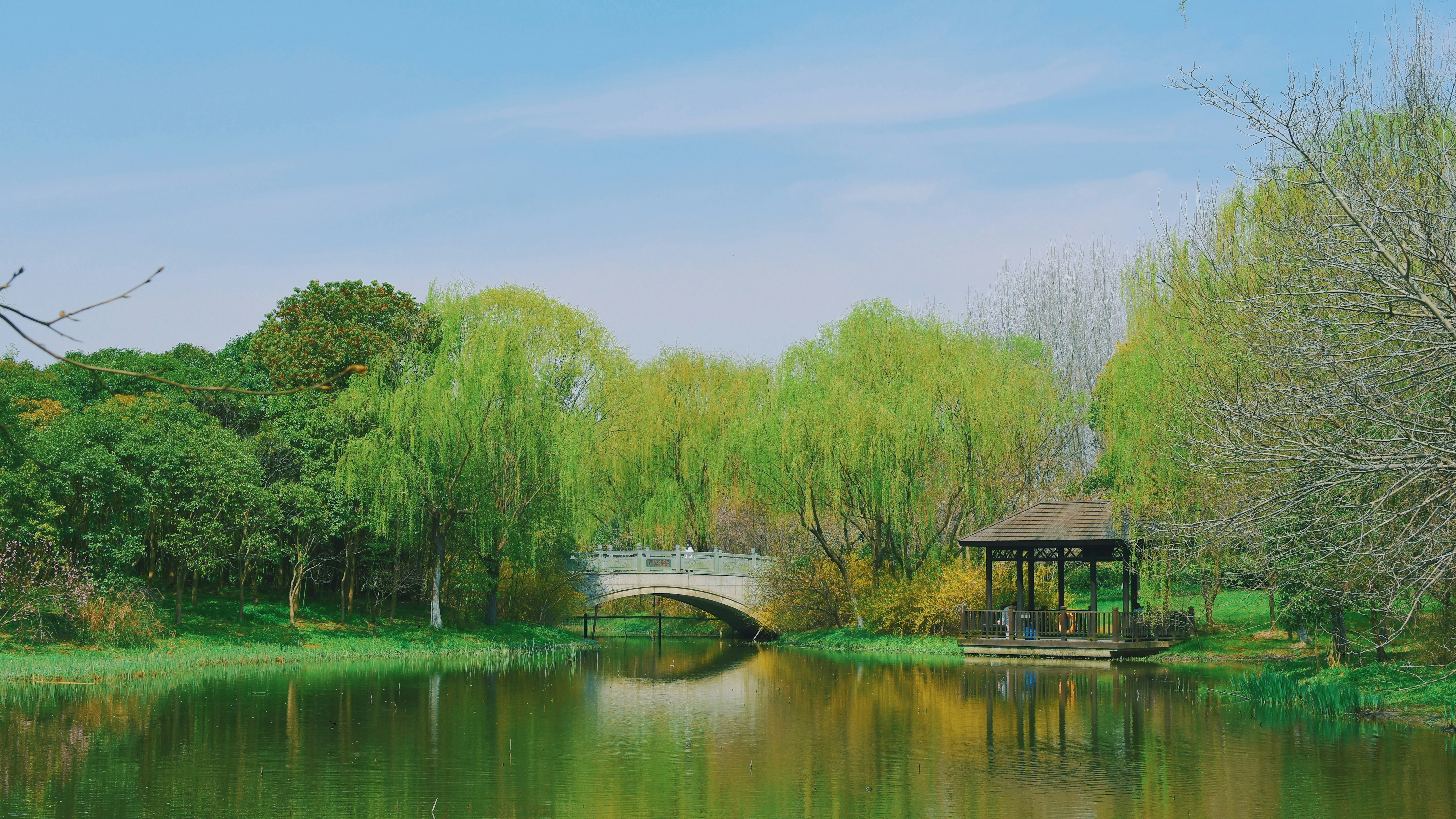 Photo by jizhidexiaohailang