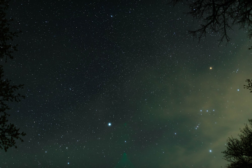 étoiles dans le ciel nocturne