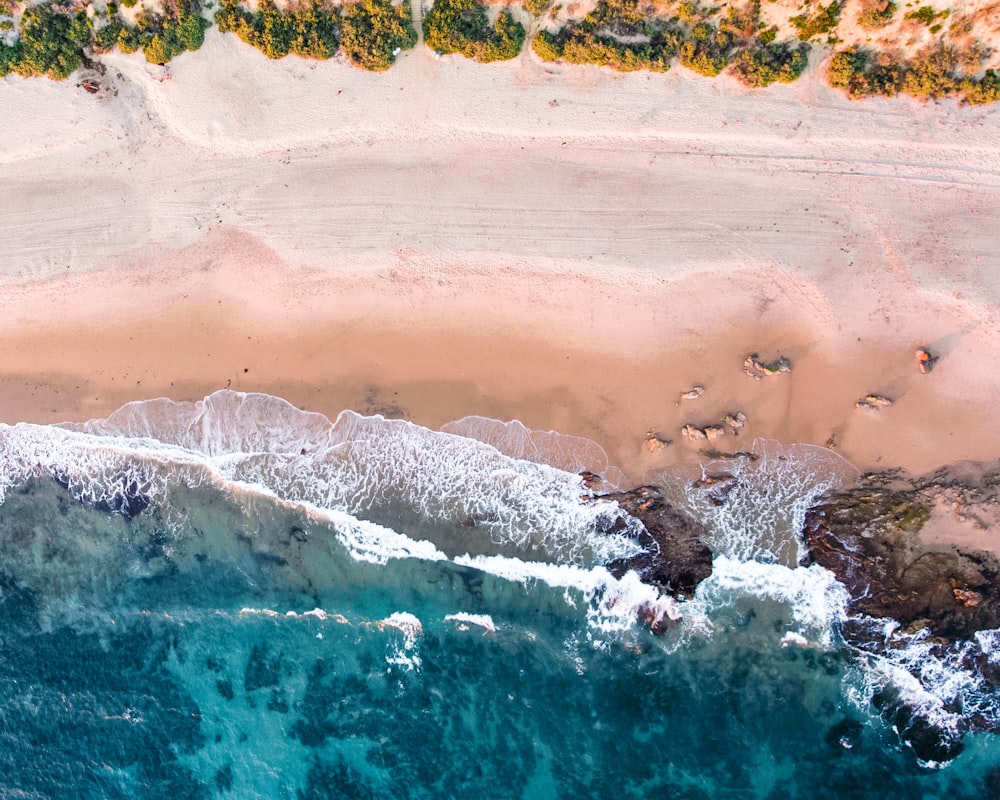 top-view photography of beach during daytime