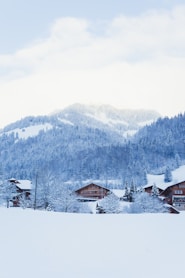 snow capped houses during daytime