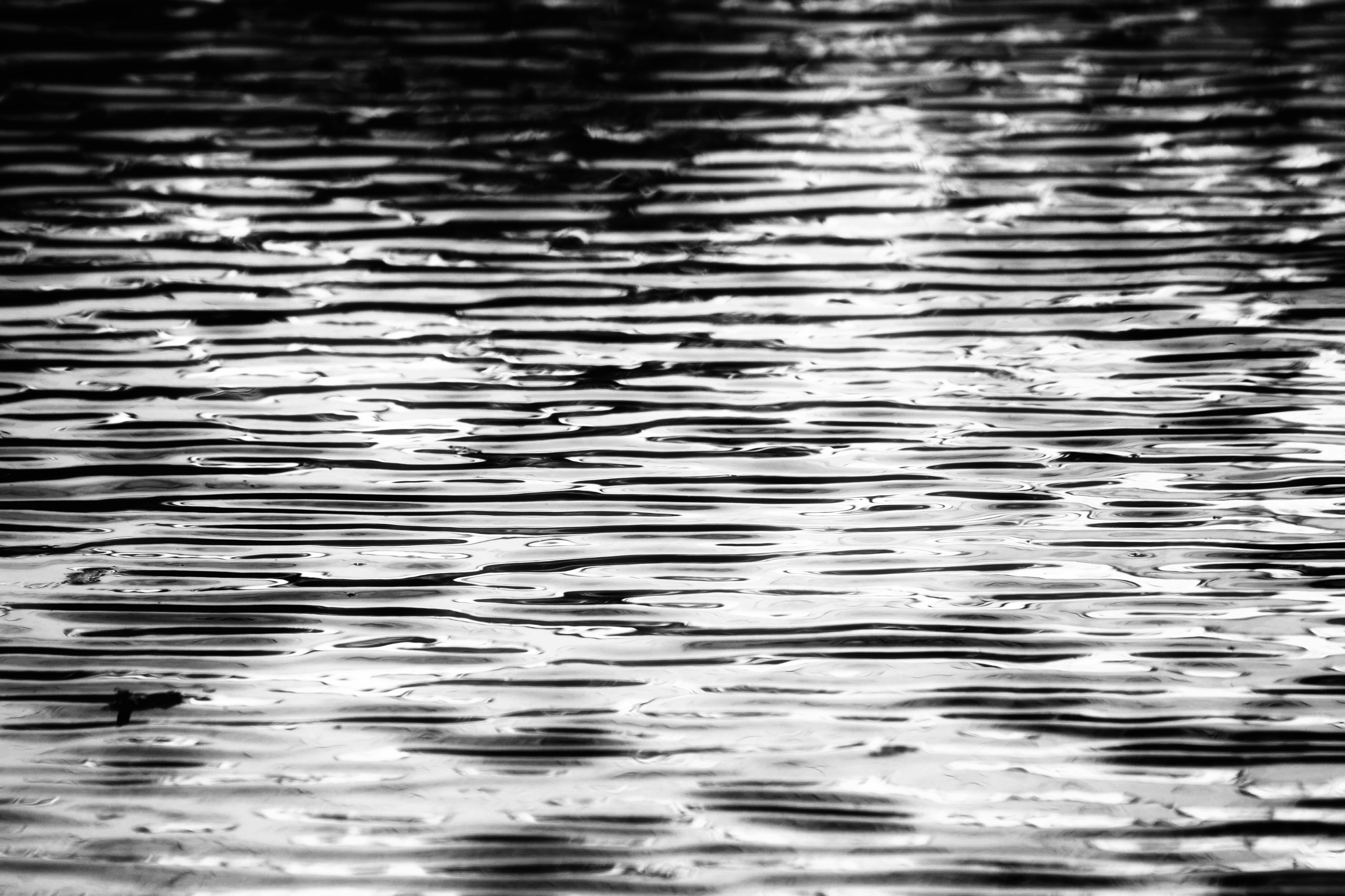 Photo by joshua_hoehne