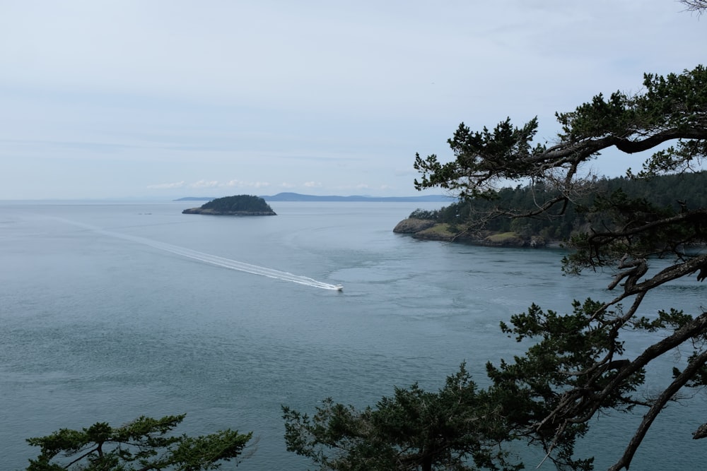 boat on body of water