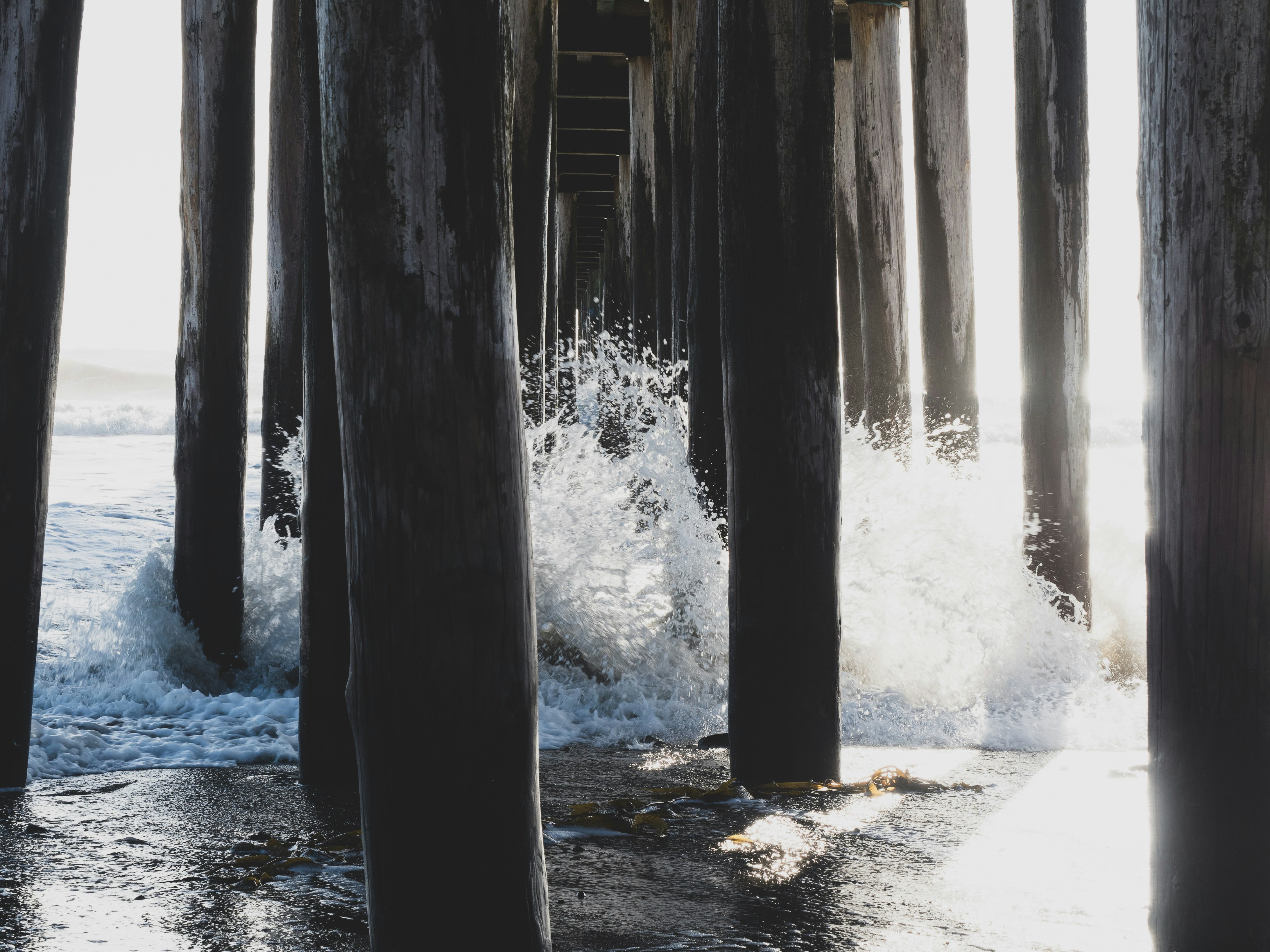 Photo by kalaniparker