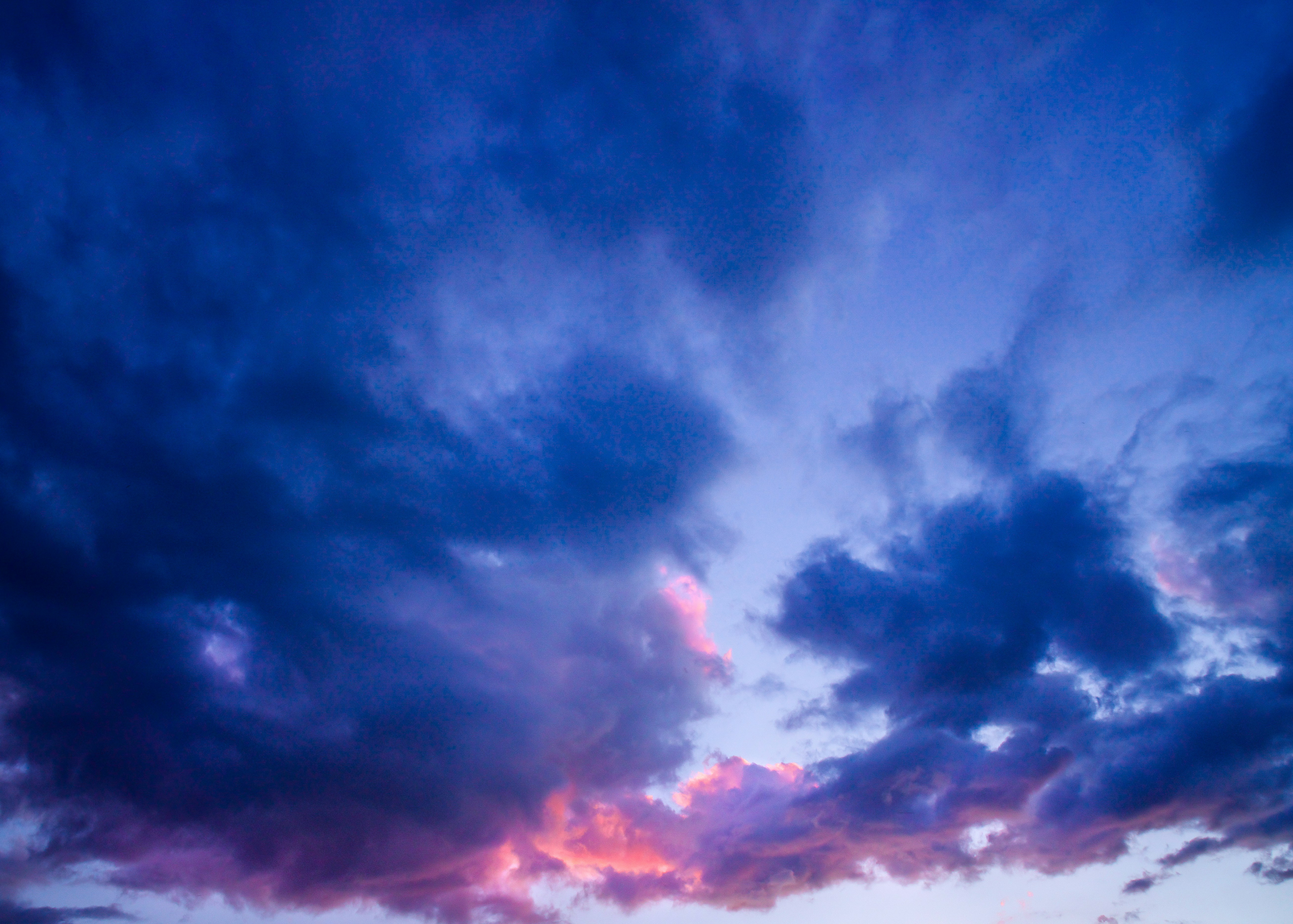 Photo by kalaniparker