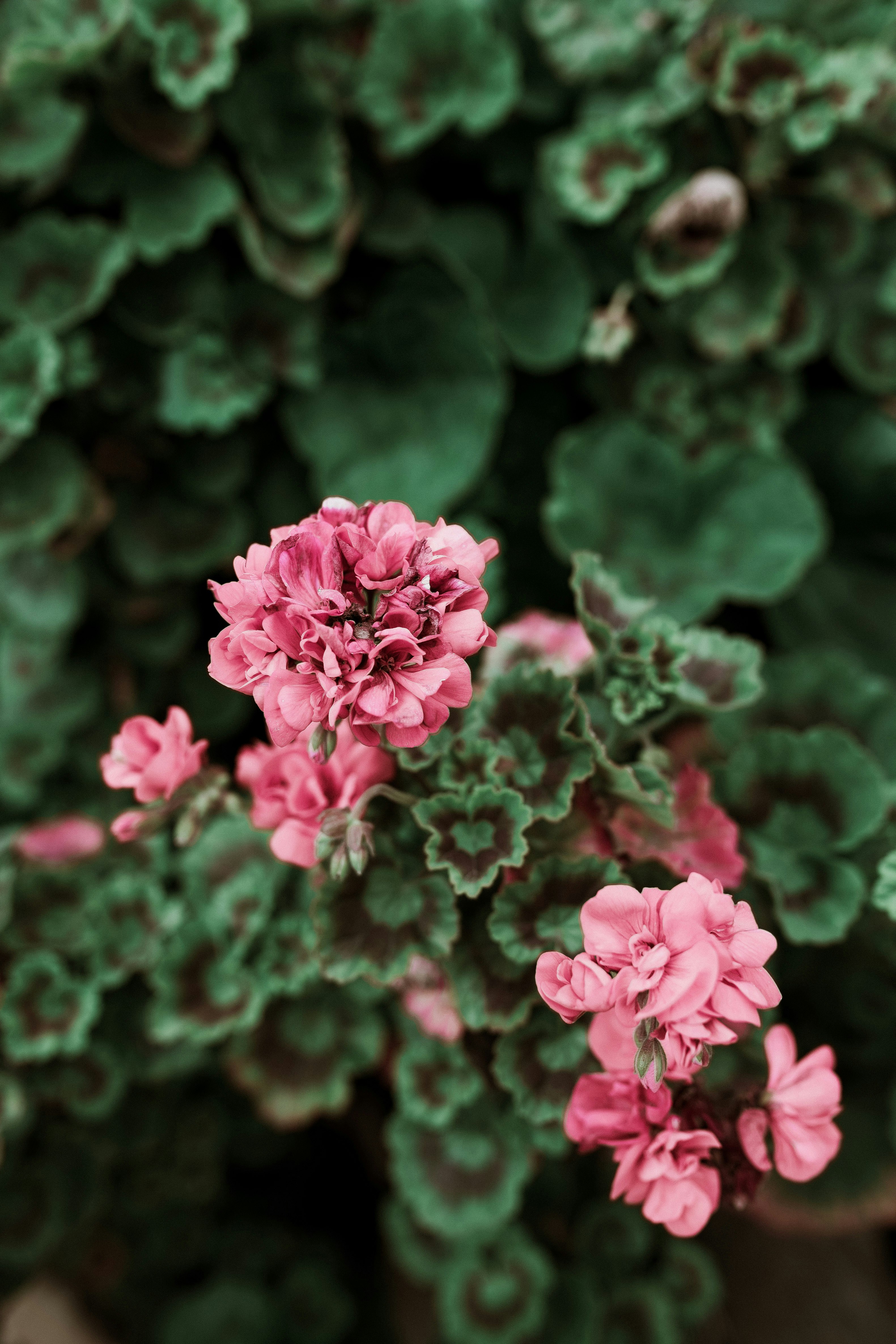 photo-1553576265-85563fb47a31?ixlib=rb-1.2.1&ixid=eyJhcHBfaWQiOjEyMDd9&auto=format&fit=crop&w=934&q=80