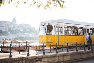 man standing in front of yellow train