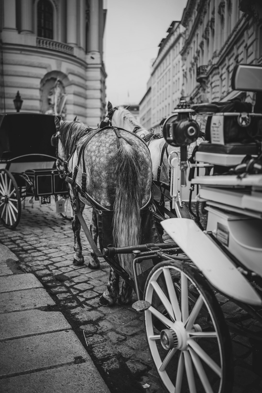 grayscale photography of horse and carriage near buildings