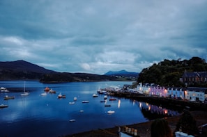 assorted boats on body of water