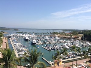 A serene marina with boats docked and clear blue waters under a sunny sky.