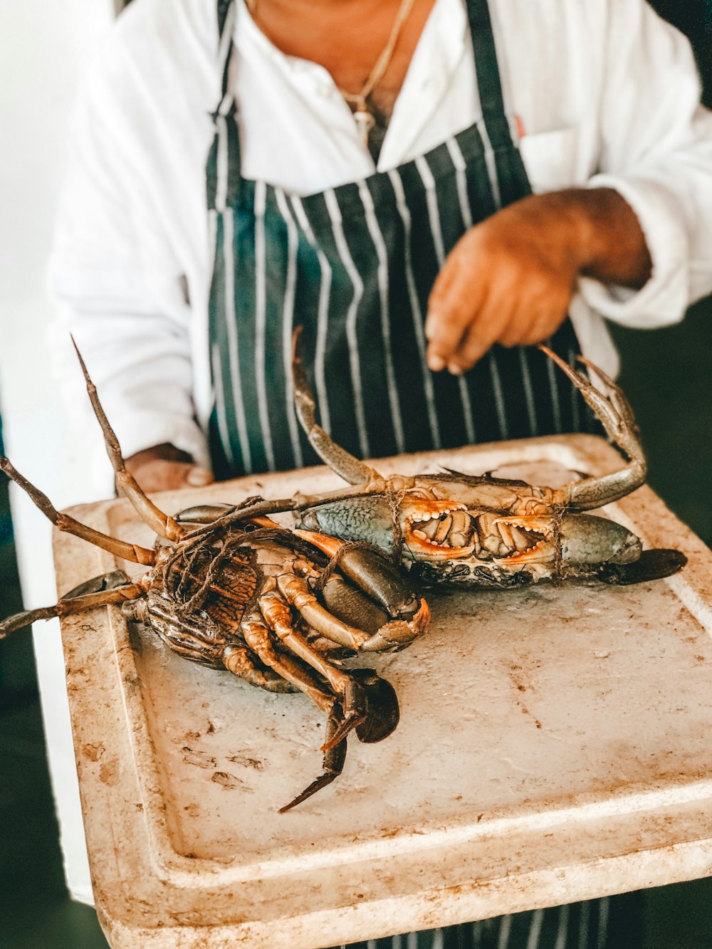 two mud crabs