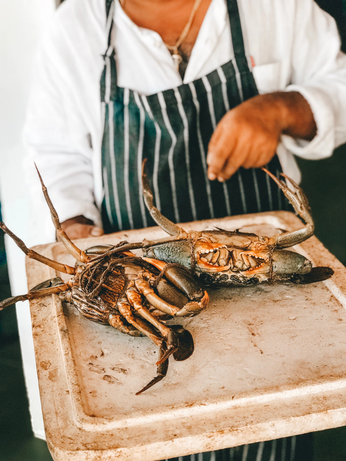 Kepiting bakau hidup (live mud crab, Scylla serrata) dari Indonesia