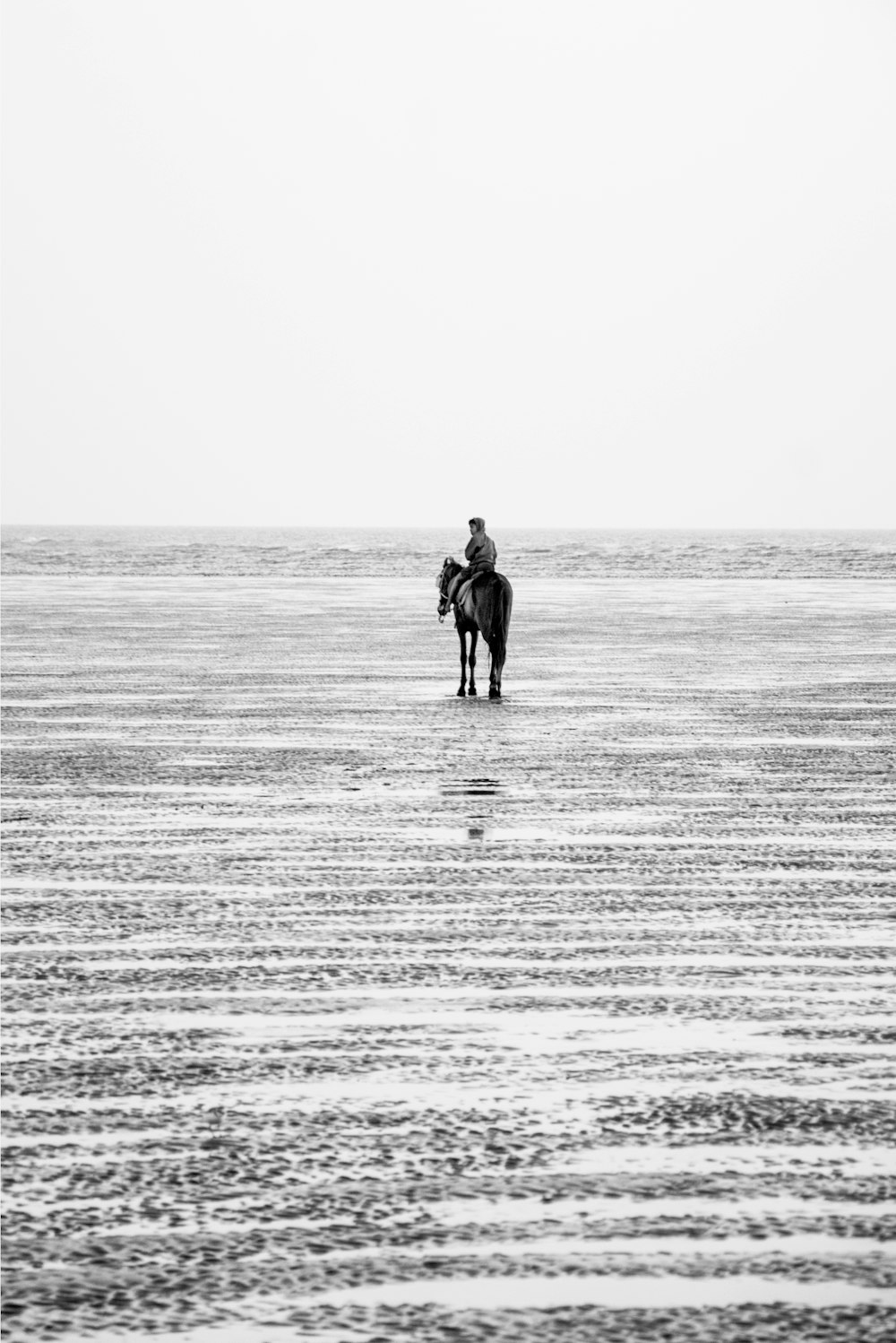 person riding on horse on open field