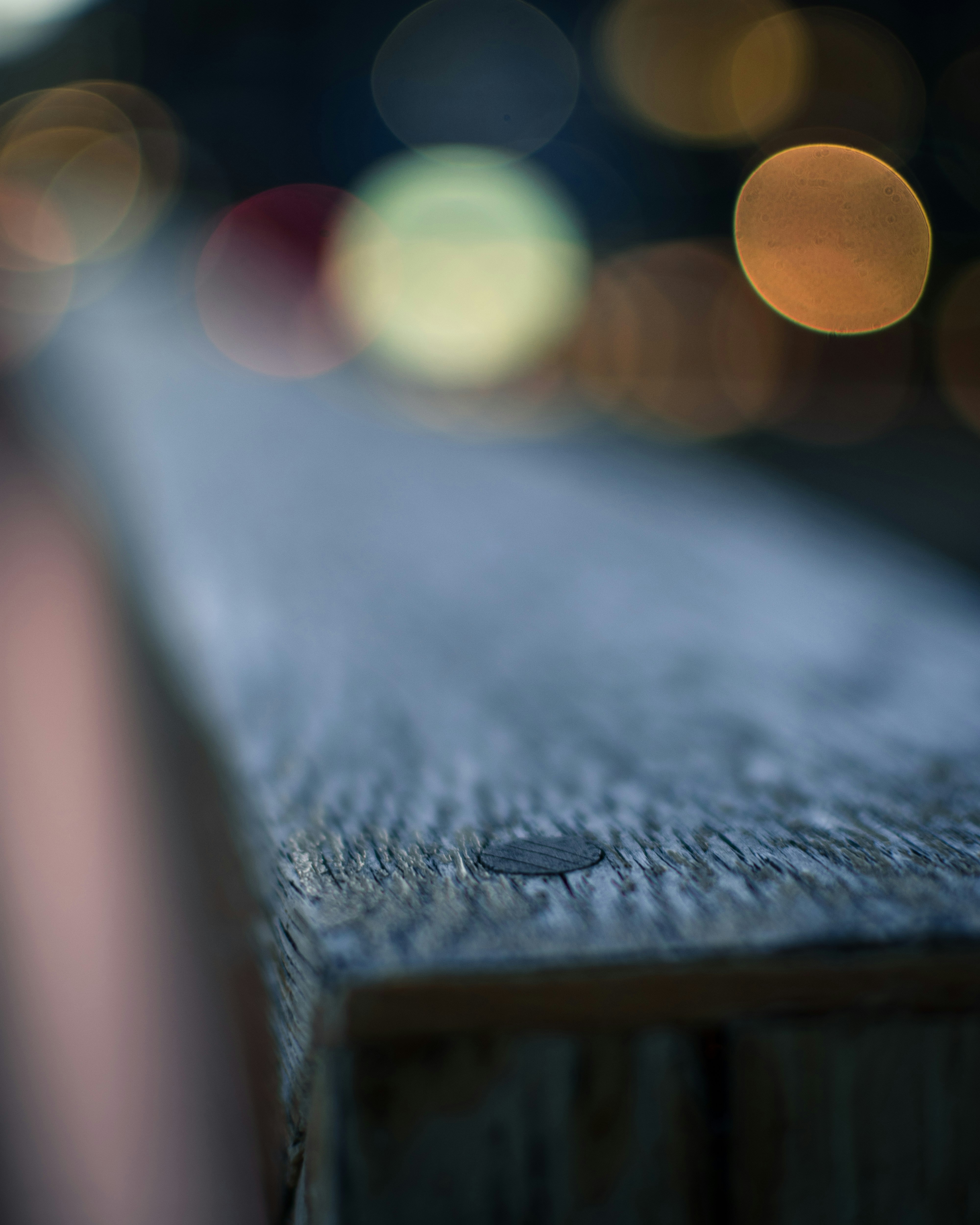 Photo by lachlangowen