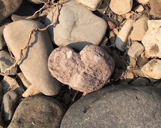 A collection of variously sized stones, with a prominent heart-shaped rock in the center. The stones vary in color, from light gray and beige to darker shades. Dry twigs and small pebbles are scattered among the rocks, adding texture to the earthy scene.