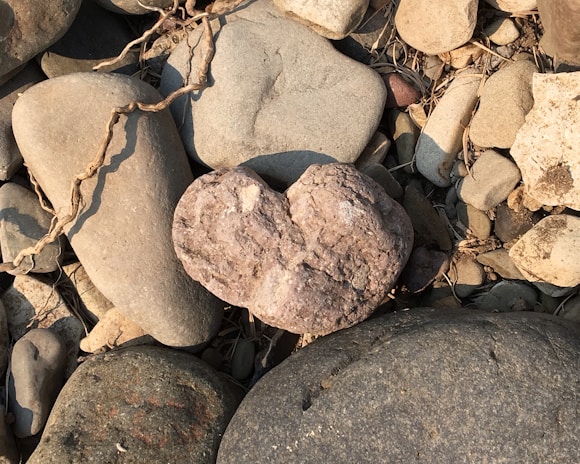 A collection of variously sized stones, with a prominent heart-shaped rock in the center. The stones vary in color, from light gray and beige to darker shades. Dry twigs and small pebbles are scattered among the rocks, adding texture to the earthy scene.