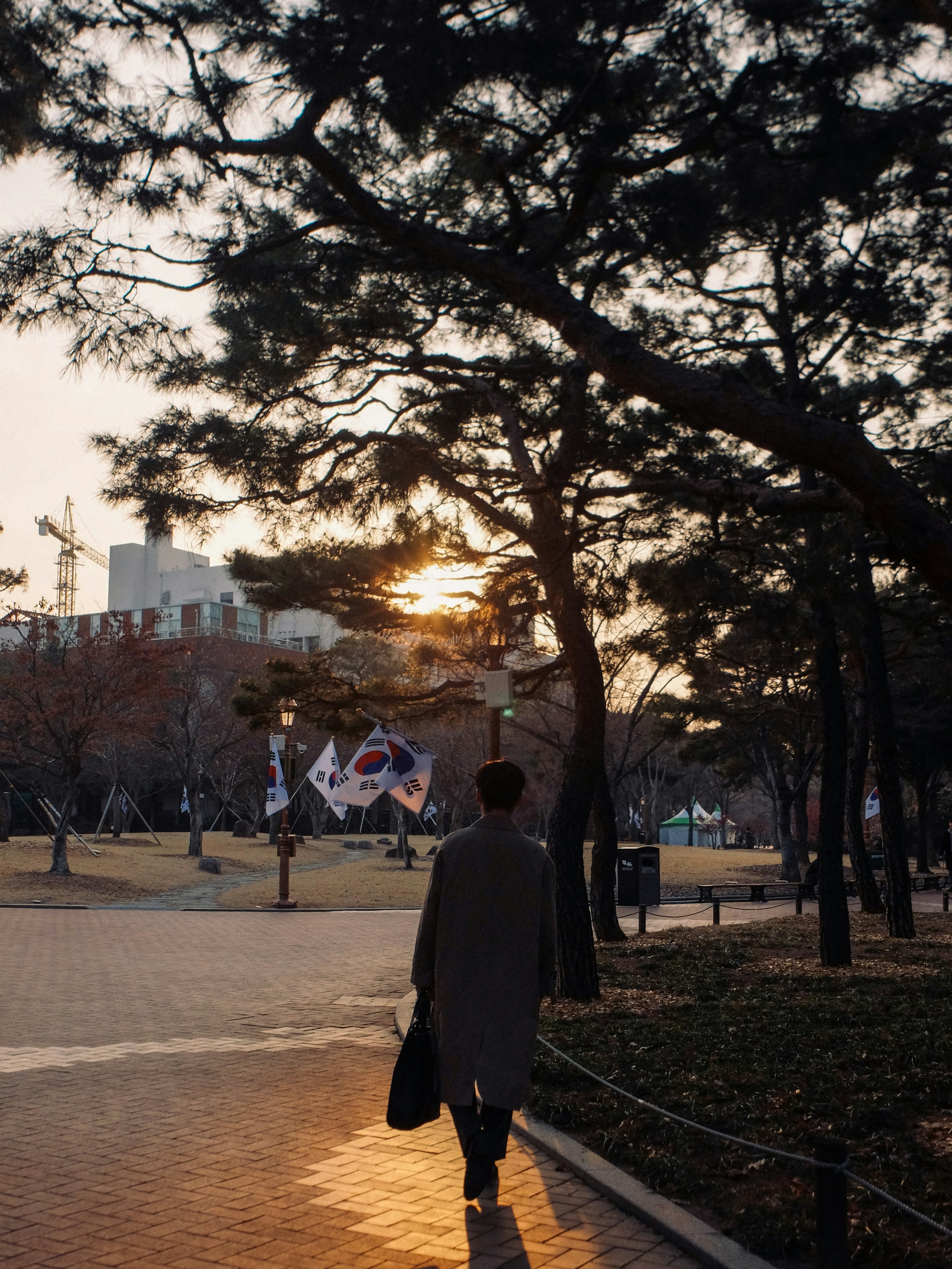 man walking at the park during golden hour