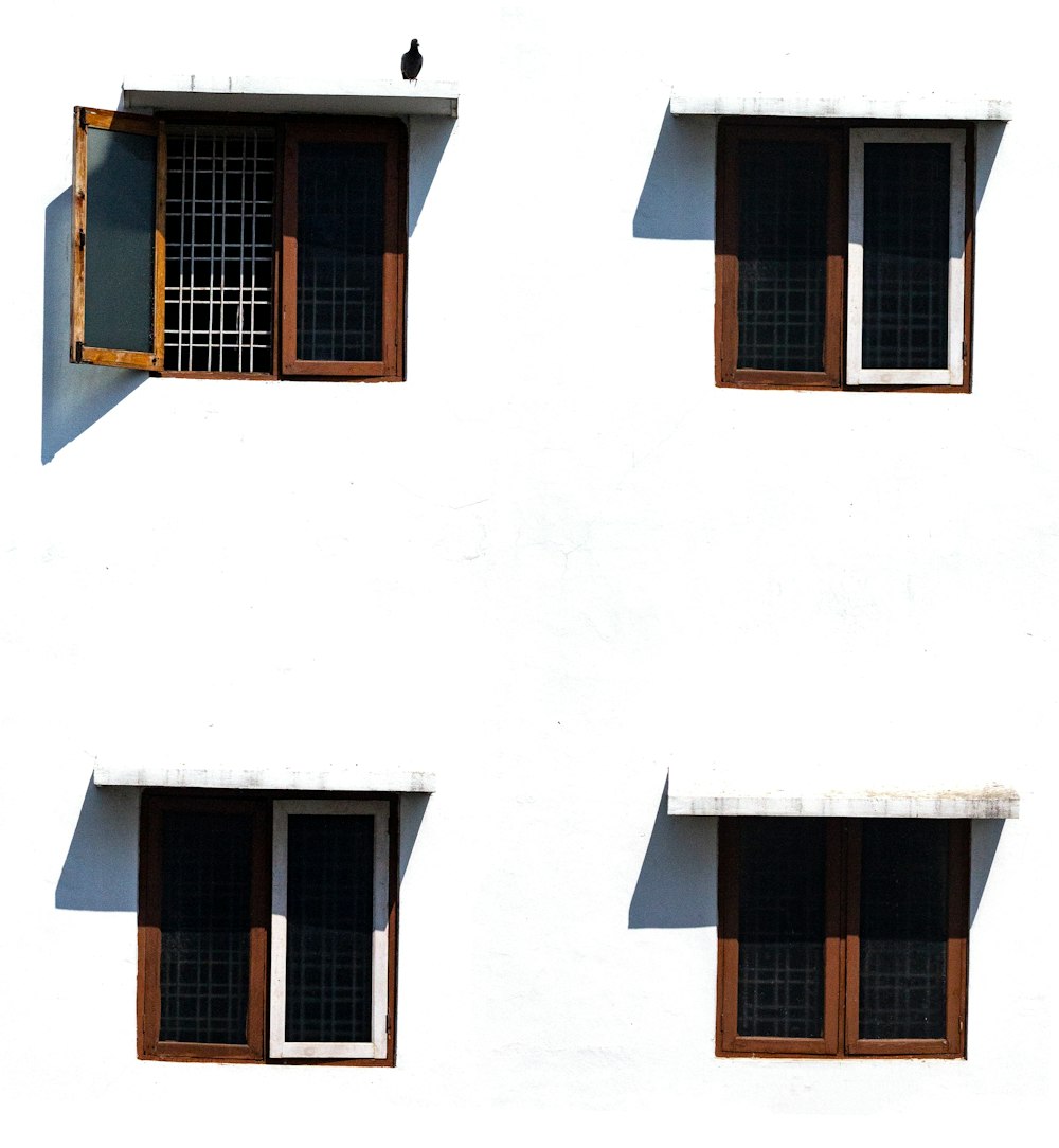 minimalist photography of white wall with four brown wooden windows