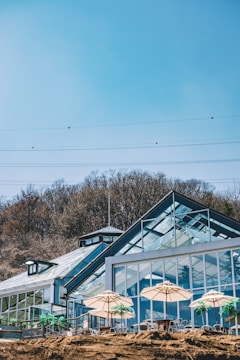 A modern glass greenhouse structure is positioned against a backdrop of bare trees under a clear blue sky. Large windows dominate the building's façade, reflecting the sunlight. In front of the greenhouse, several beige patio umbrellas provide shade over tables and chairs, creating a cozy outdoor seating area.