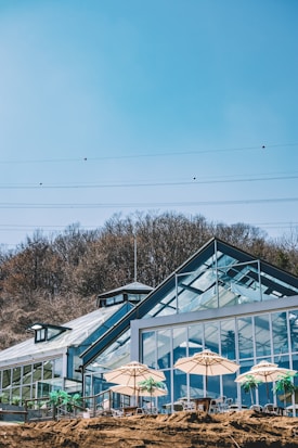 A modern glass greenhouse structure is positioned against a backdrop of bare trees under a clear blue sky. Large windows dominate the building's façade, reflecting the sunlight. In front of the greenhouse, several beige patio umbrellas provide shade over tables and chairs, creating a cozy outdoor seating area.