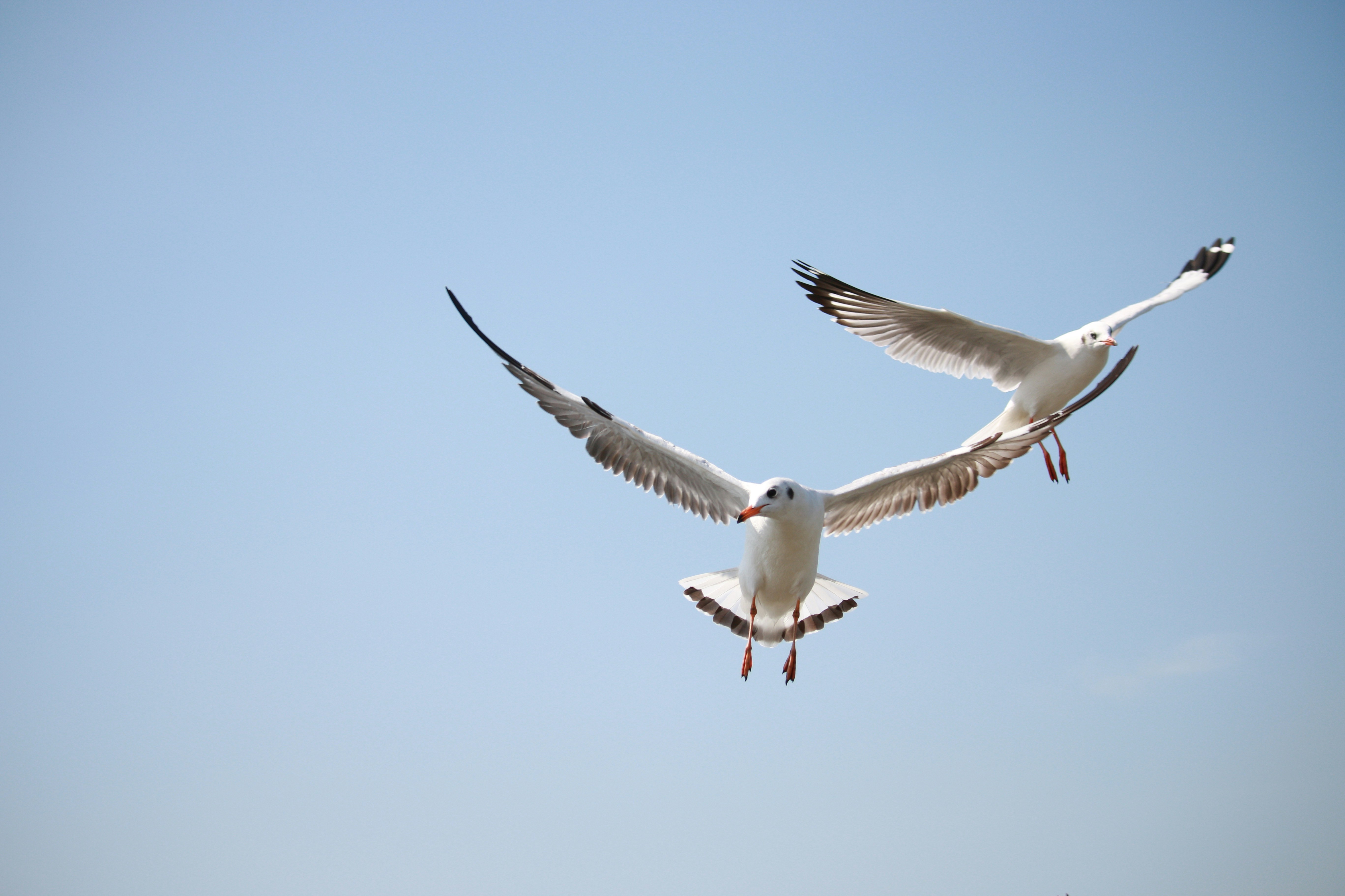 Photo by ploypatra25