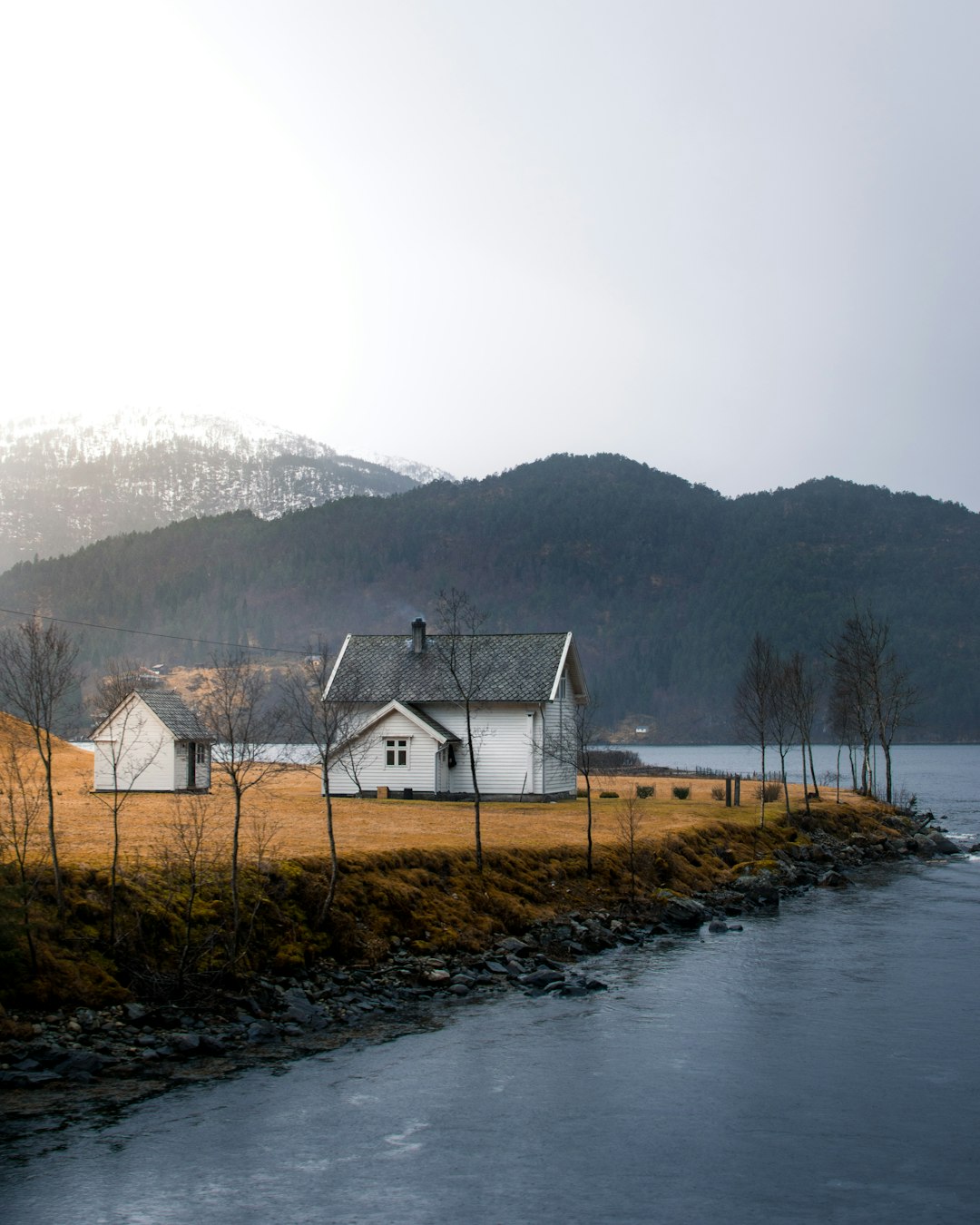 houses on shore near body of water