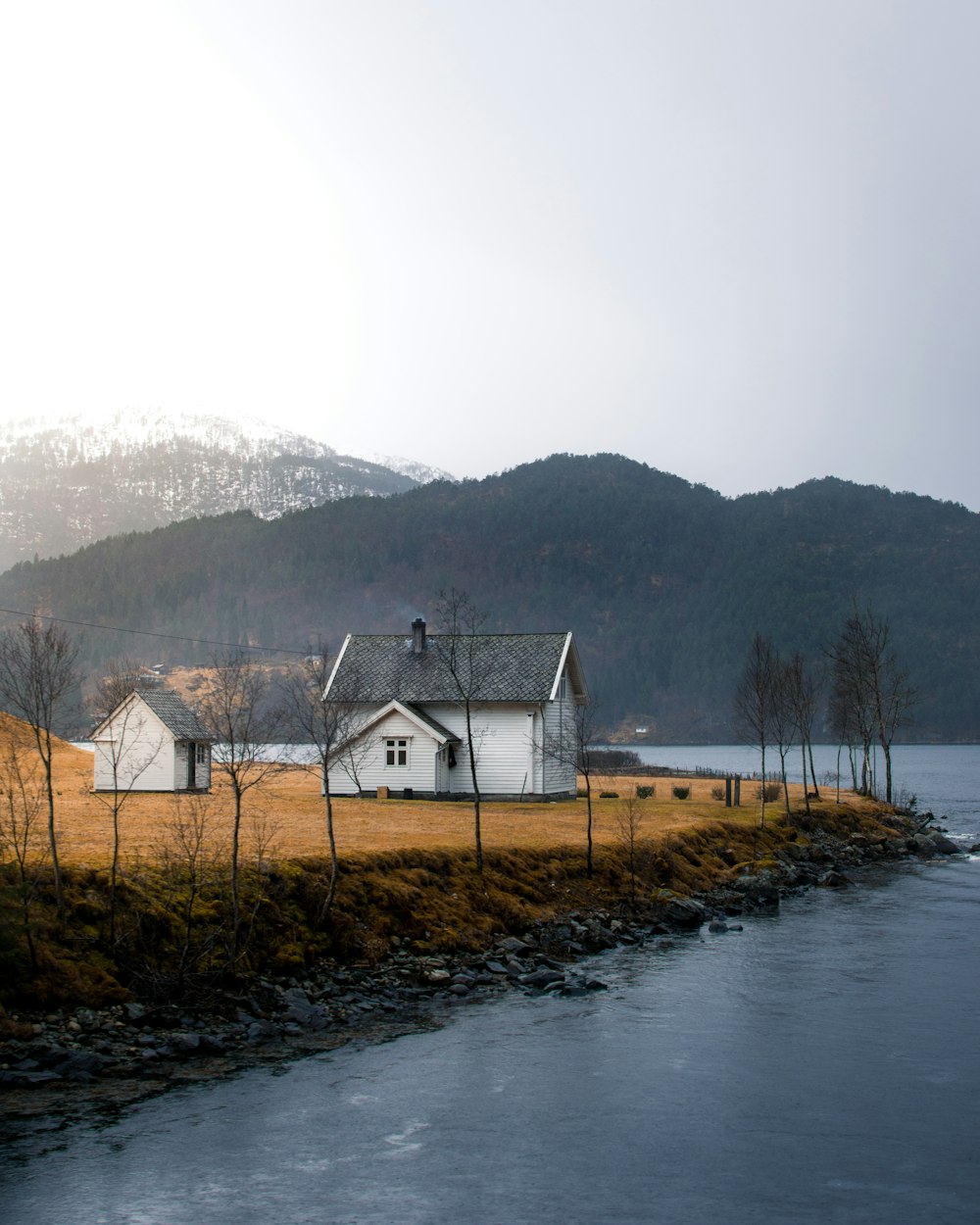 houses on shore near body of water