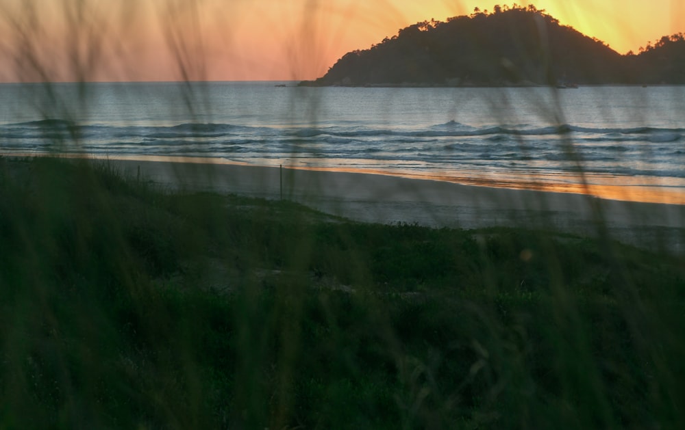 view of white sand beach from field of grass