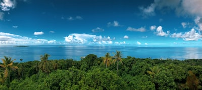 view of beach during daytime micronesia zoom background