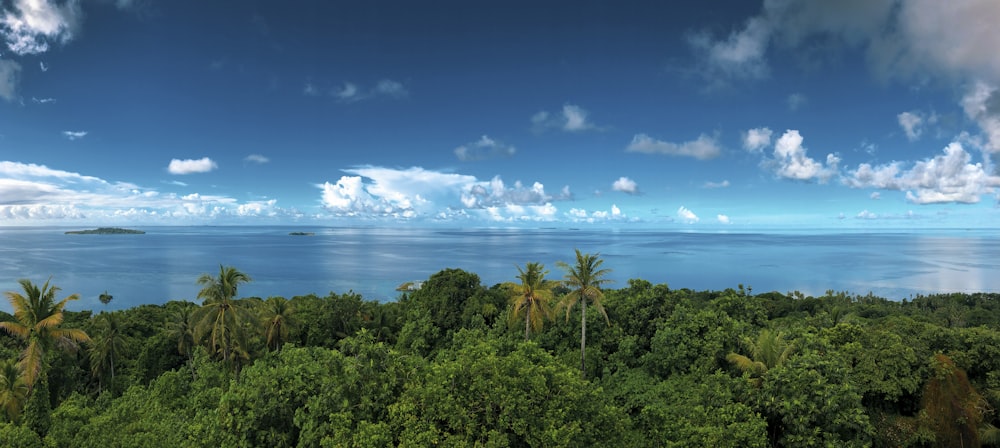 view of beach during daytime