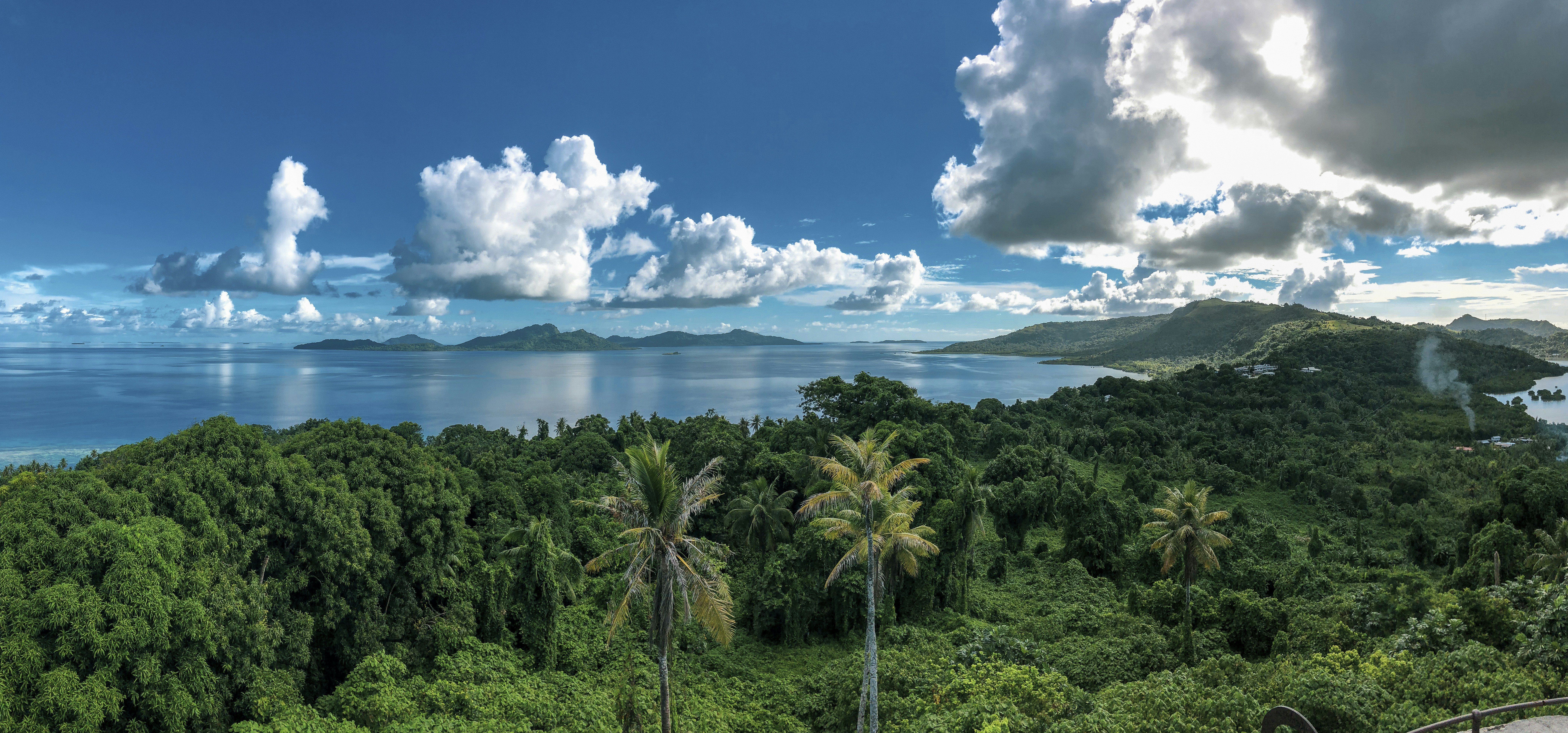How Do You Build A Shelter In A Tropical Rainforest?