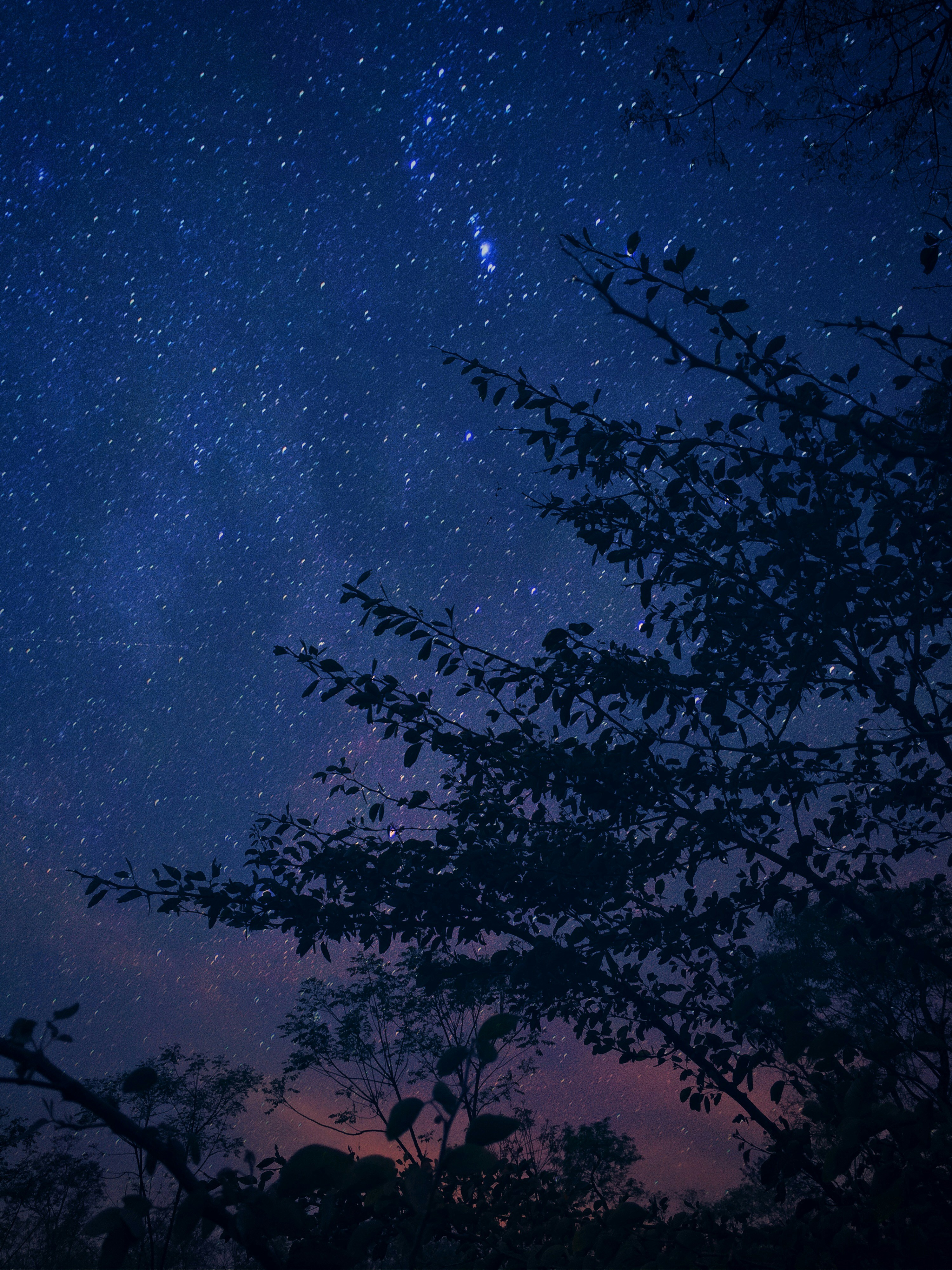 Photo by deepsonowal