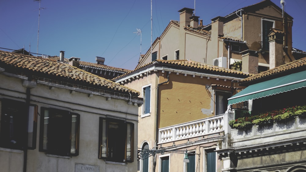 brown and white houses