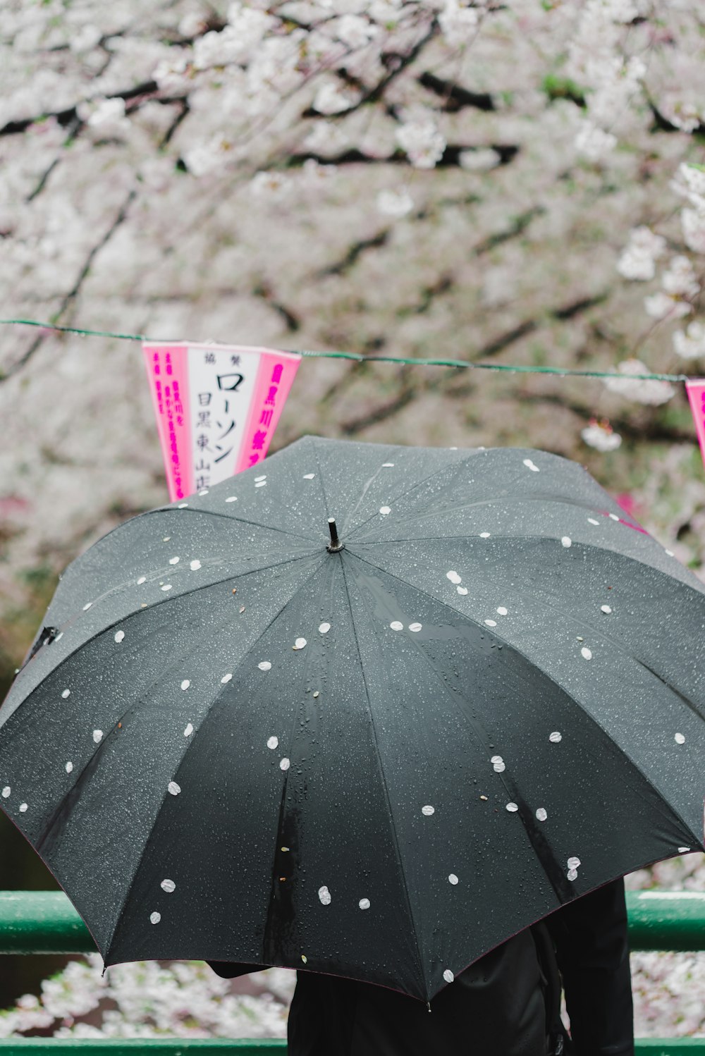 person using gray umbrella