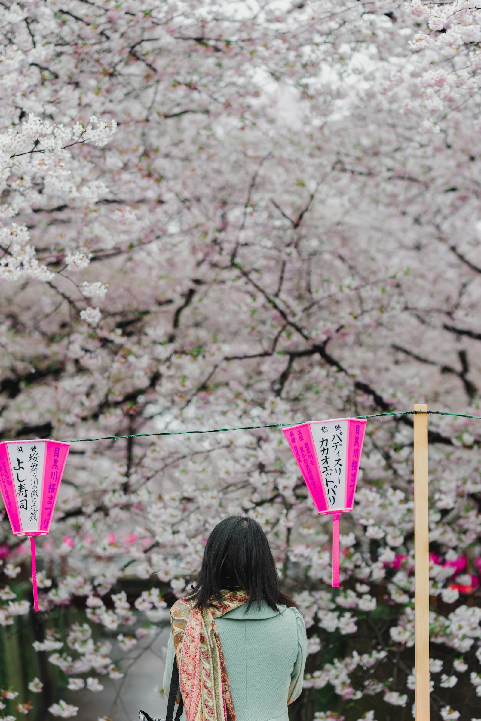 Nikon D600 + Tamron SP 90mm F2.8 Di VC USD 1:1 Macro (F004) sample photo. Woman standing under string photography