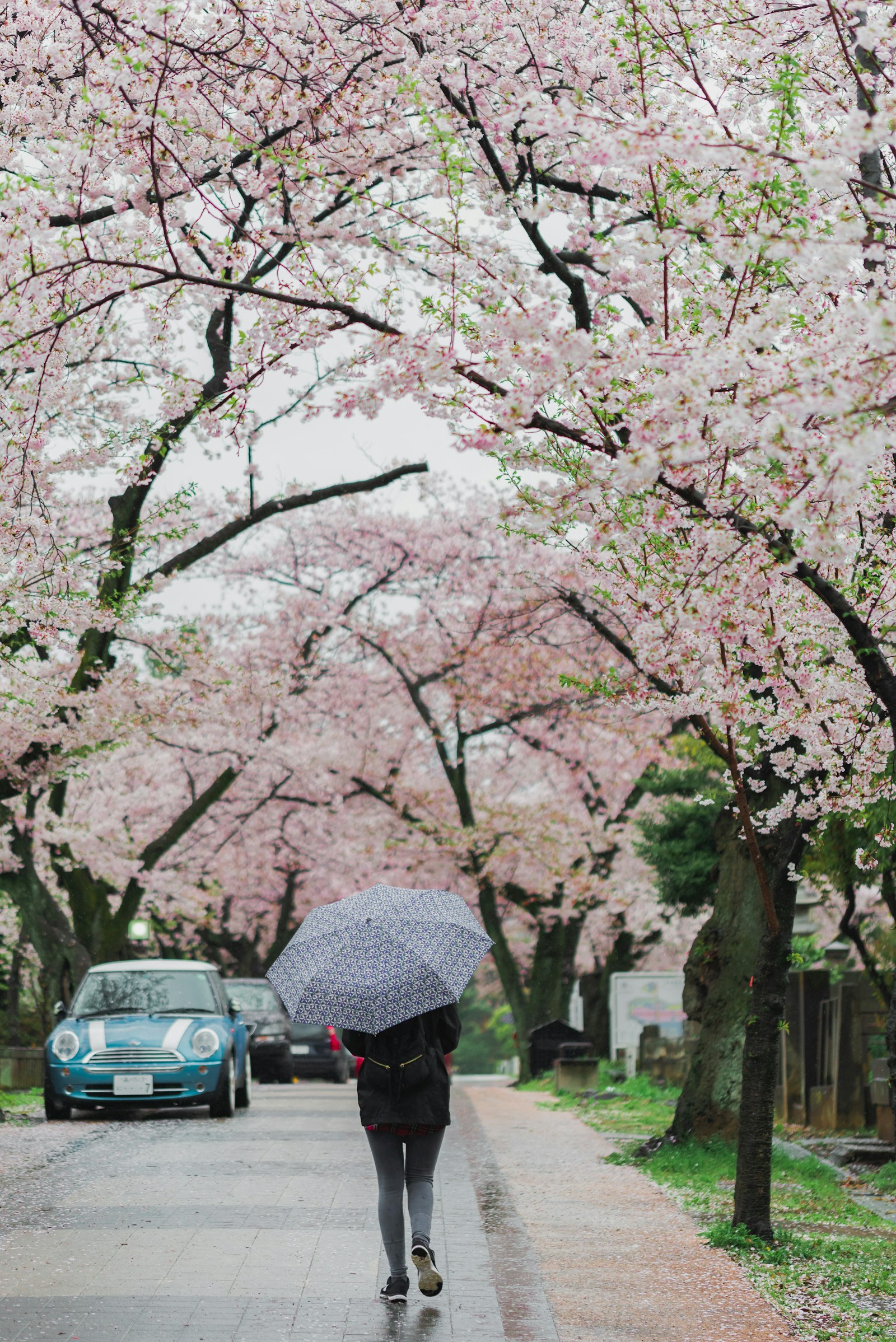 Nikon D600 + Tamron SP 90mm F2.8 Di VC USD 1:1 Macro (F004) sample photo. Woman walking on road photography