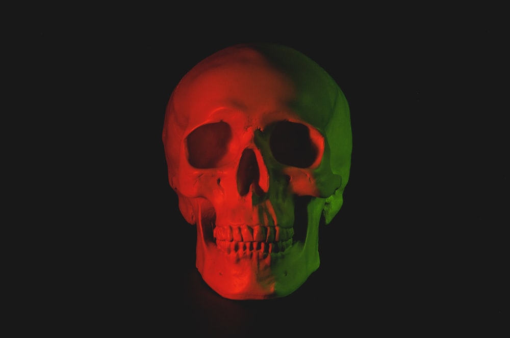 skull head bust with LED light