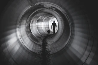 A trainer encouraging a dog through a tunnel obstacle during agility training.