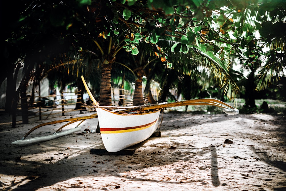 white canoe near tree during daytime